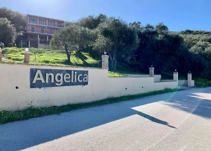 Angelica *