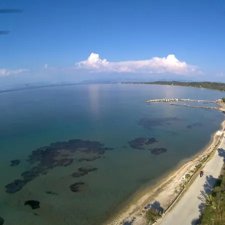 Angelica Perivólion