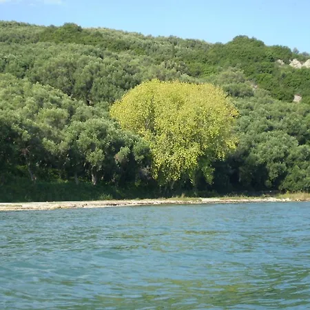 Angelica * Периволион