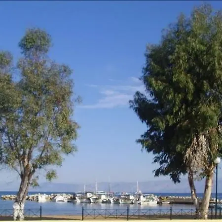 Angelica * Περιβόλι