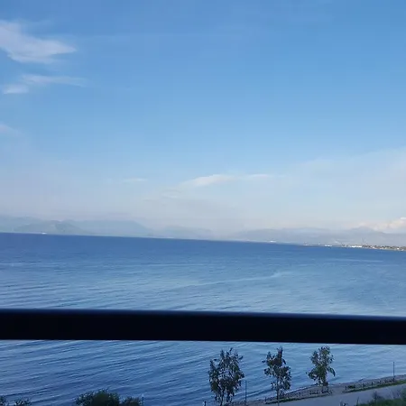 Angelica * Περιβόλι
