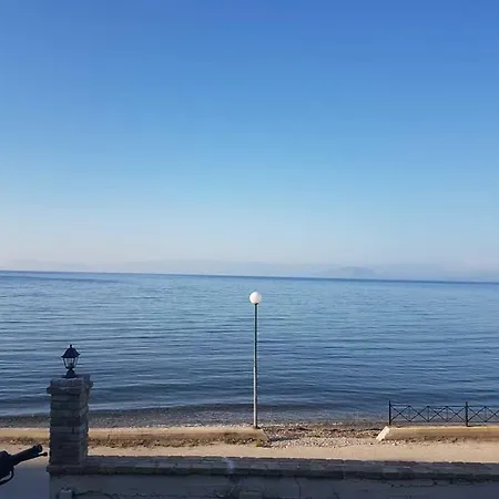 Angelica Περιβόλι