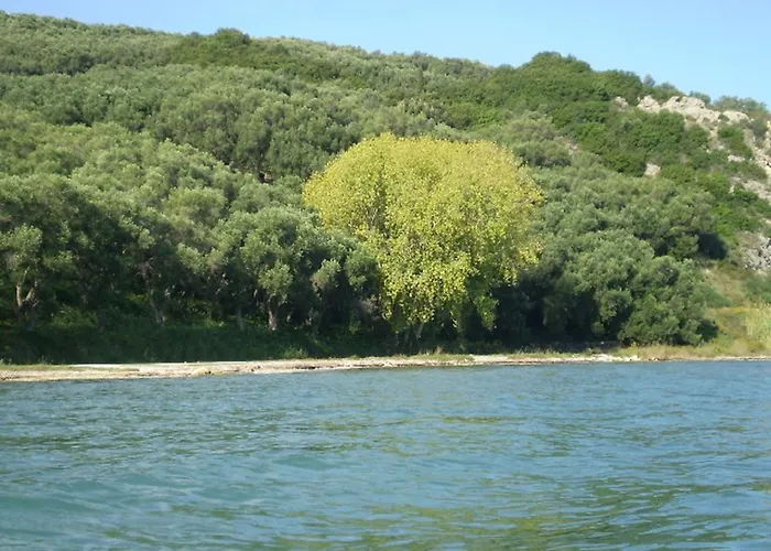 Angelica * Perivólion