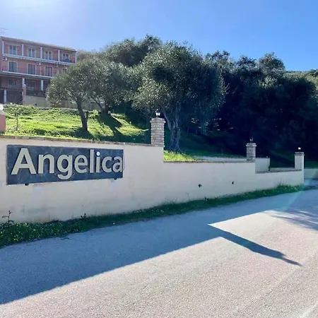 Angelica *