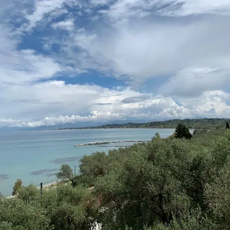 Angelica * Περιβόλι