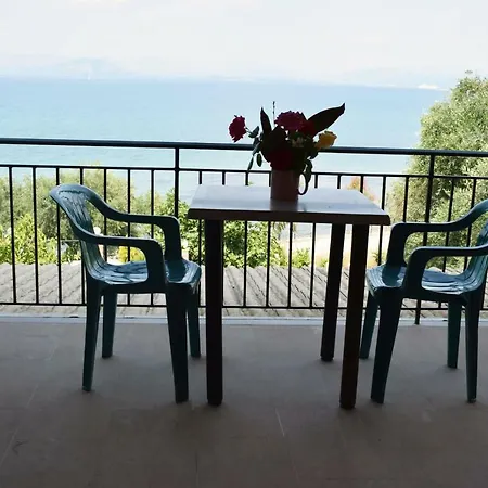 Angelica Apartment